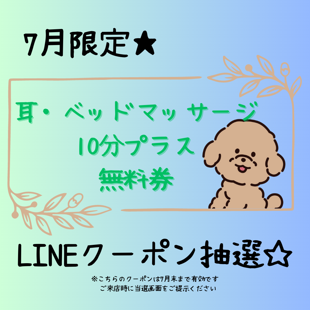 【7月】LINEクーポン抽選♬